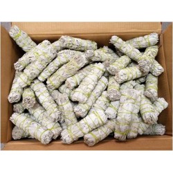 Case of 4" California White Sage(350pcs)