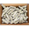 Case of 4" California White Sage(350pcs)