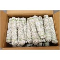 Case of 9" California White Sage(100pcs)