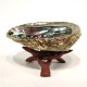 Abalone Shell - 5"