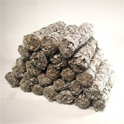 California White Sage 9"