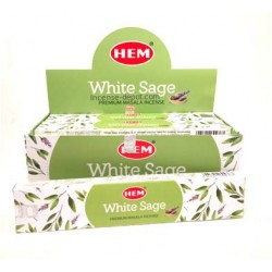 HEM SIETE ARCANGELES