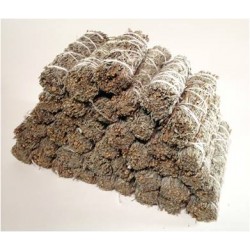 California White Sage 9"