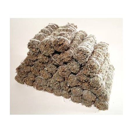 California White Sage 9"