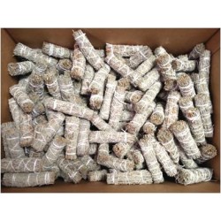 California White Sage 4"