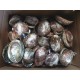 Case of 5-6" Abalone Shell(100pcs)