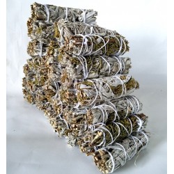 California White Sage 9"