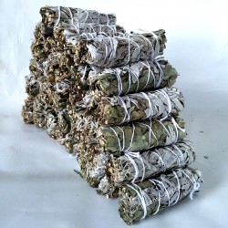 California White Sage 9"