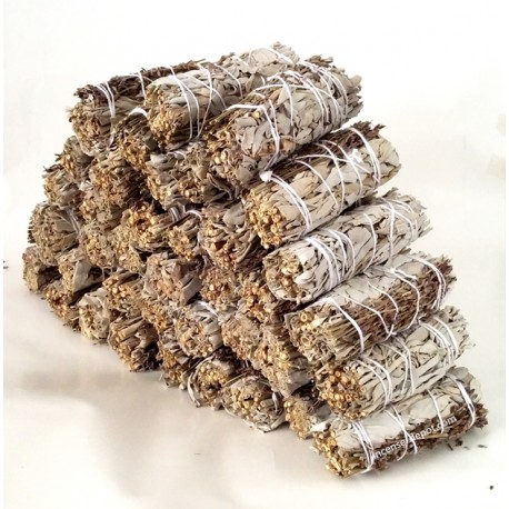 California White Sage 9"