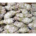California White Sage 9"