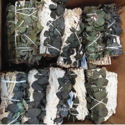 California White Sage 9"