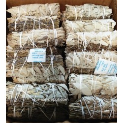 California White Sage 9"