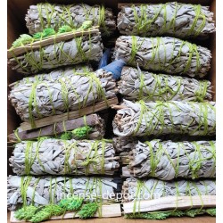 California White Sage 9"