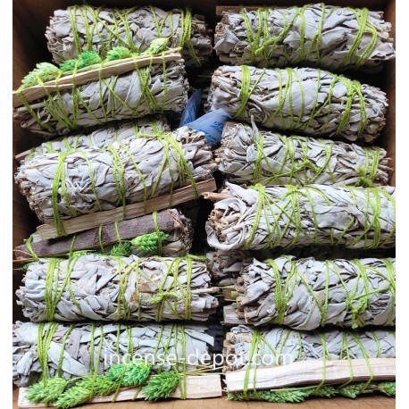 California White Sage 9"