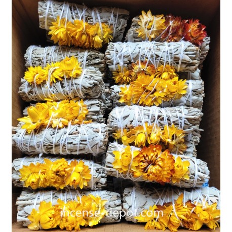 California White Sage 9"