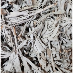 California White Sage Clusters 14LB