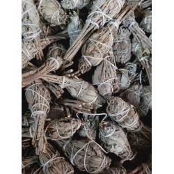 California White Sage 9"