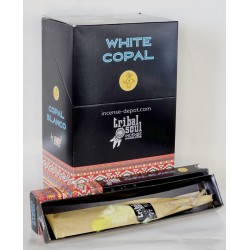 Tribal Soul Tarot Reading 15g