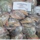 3-4" Mexico Green Abalone Shell(100pcs)