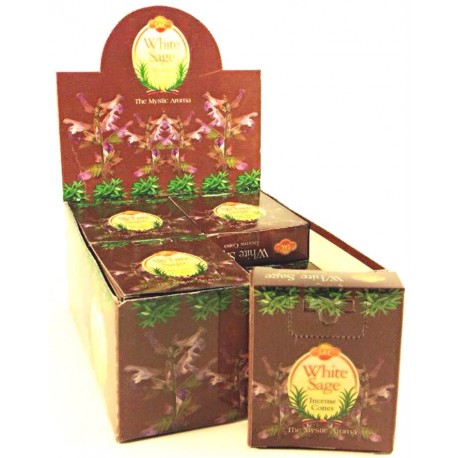 SAC White Sage cones