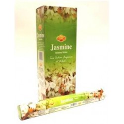SAC045B Jasmine